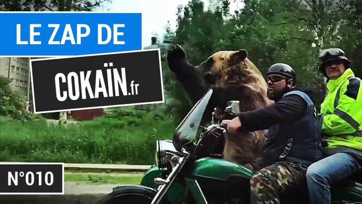 Le Zap de Cokaïn.fr n°010