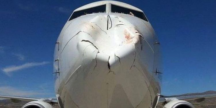 Avion Qui Vole En Dehors Des Lignes Quand un avion percute un oiseau en plein vol ça fait des dégâts