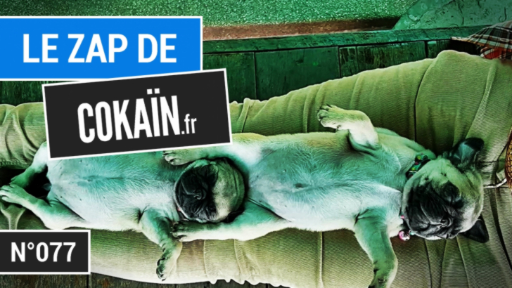 Le Zap de Cokaïn.fr n°077