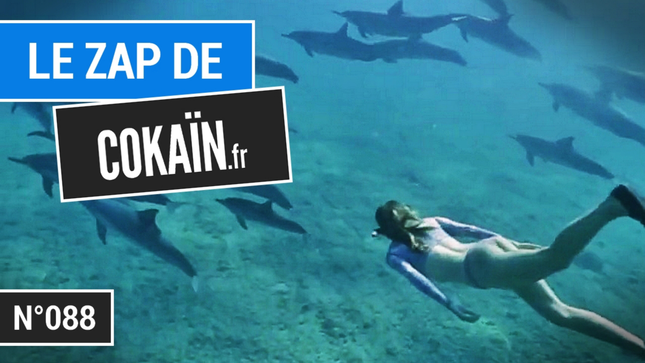 Le Zap de Cokaïn.fr n°088