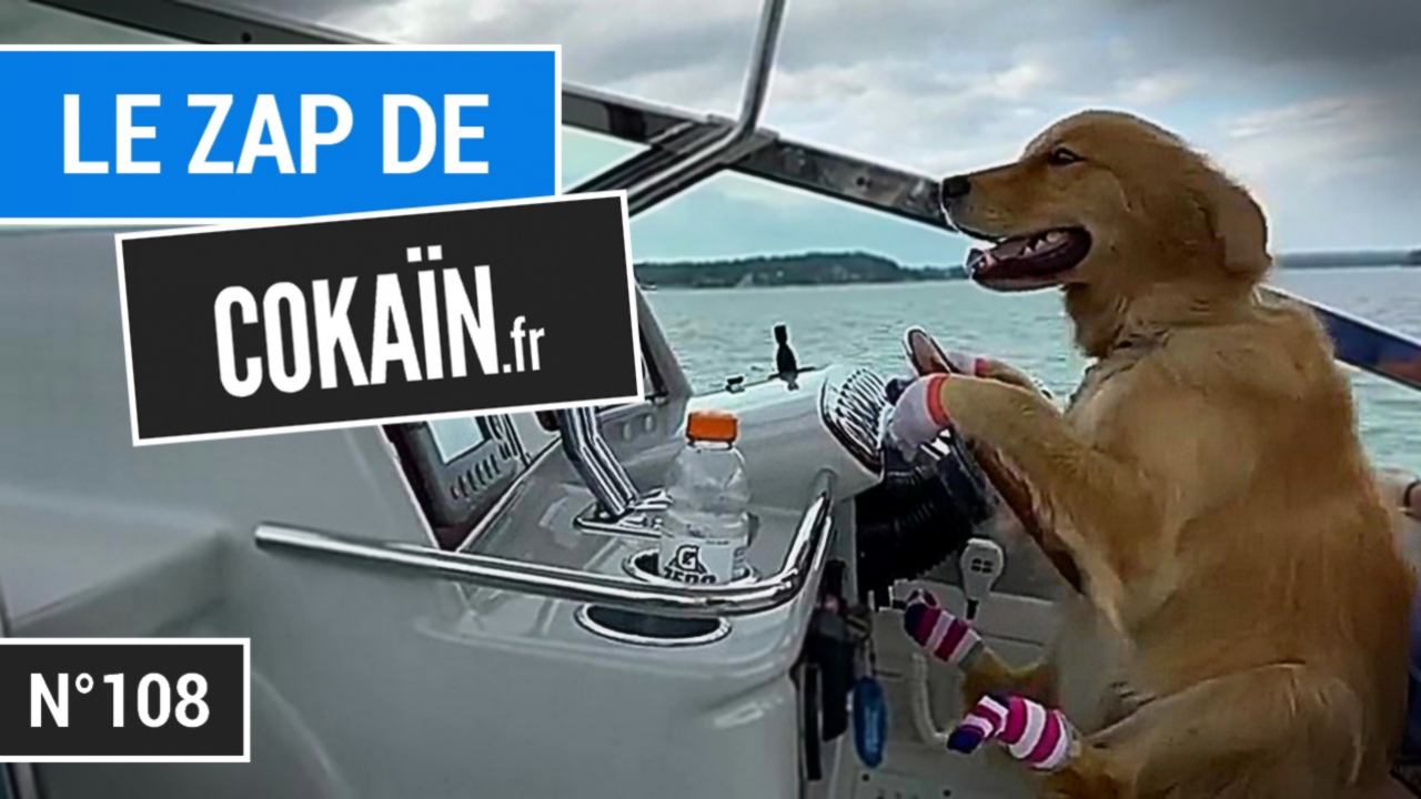Le Zap de Cokaïn.fr n°108