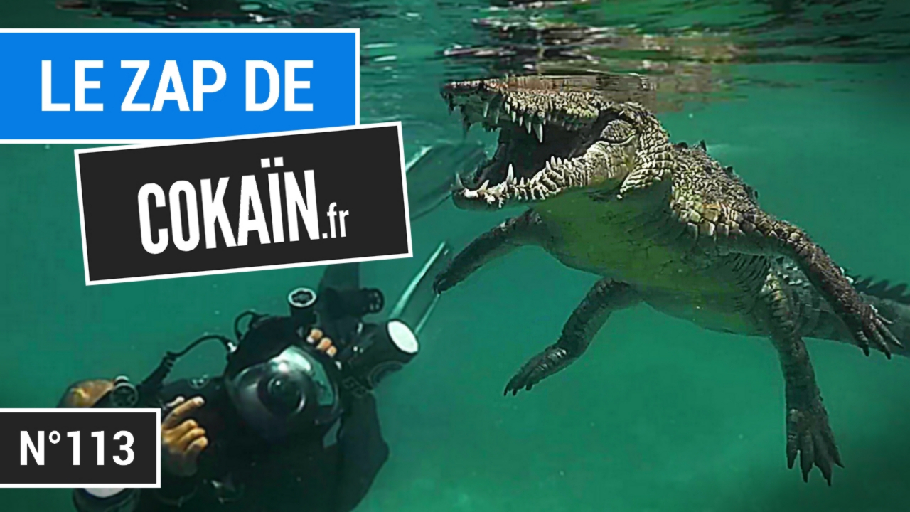 Le Zap de Cokaïn.fr n°113