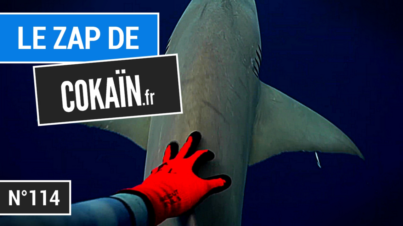 Le Zap de Cokaïn.fr n°114
