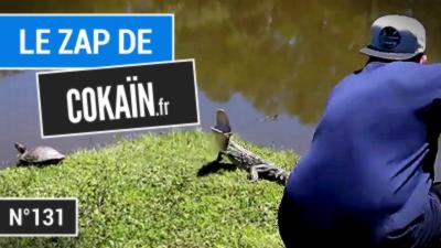 Le Zap de Cokaïn.fr n°131