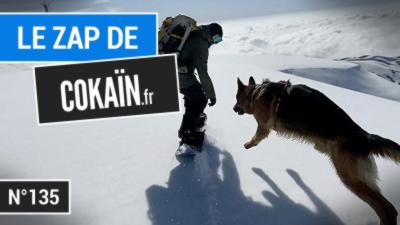 Le Zap de Cokaïn.fr n°135
