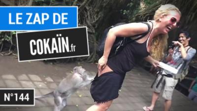 Le Zap de Cokaïn.fr n°144